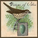 Visions Of Bliss : Visionary Moments of Bliss