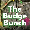 The Budge Bunch : 