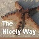 The Nicely Way : Making a Difference