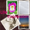 Life's Impression : learning things about photography