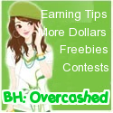 Bloguardian Hellsite: Overcashed : Monetize without limits!