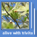 Alive with TriVita : Home of Sonoran Bloom Nopalea