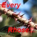 Every Rhose... : 