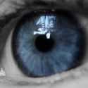 SatishSays dot Com : Can you see what I see?