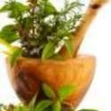 Natures Health & Wellness : 
