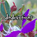 Day & Night Devotions : 