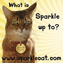 Sparkle : Award-winning author, advice columnist, supermodel - and cat!