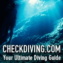 Check Diving : diving, scuba diving