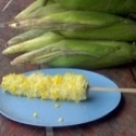Yellow Corn : Sweet and full of goodness