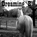 Dreaming Big : Missa's Equine Design