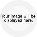 (RUGBY LIVE) DREAMS ONLINE : Live,streaming,online, free live, rugby live,streaming rugby,online live rugby