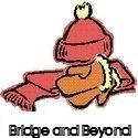 Bridge and Beyond : 