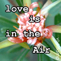 Love is in the Air : internet dating, weddings, tips and advice, point of view about online datig