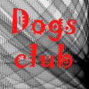 Dogs Club 2010 : dog training center