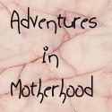 Adventures in Motherhood : Raising Hunter and Landon