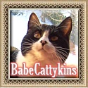 Babe Cattykins : About me and wot i get up to