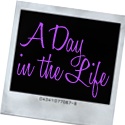 A Day in the Life : 