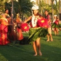 Hawaii FYI : 