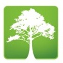 Insurance Experts Agency, Inc. : Let us do the hustle and enjoy a hassle free insurance program!