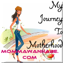 Momma Wannabe : One woman's journey motherhood.