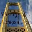 Musings of a Michigan Mom : 