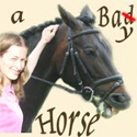 A Bay Horse : A working woman does dressage with her bay horse
