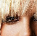 Celebrity-Socialite : 