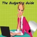 The Budgeting Guide : Save Money, Make Money.