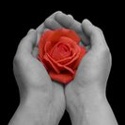Poetry That Will Make You Feel : Living, Laughing, Loving