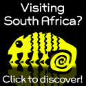 The Real South Africa : What are you waiting for? Discover South Africa now!