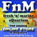 fresh 'n' marine aQuarium eStore : freshnmarine, singapore online store, singapore aquarium online store