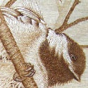 original pyrography and mixed media art of angie rea : Pyrography and Mixed Media Artist
