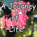 a journeyof life : personal diary