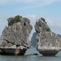 Vietnam travel  : 
