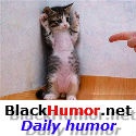 BlackHumor : Daily humor