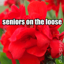 seniorsontheloose : 