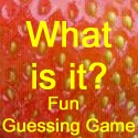What is it? : Fun guessing game