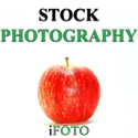 Photography : Online money-maker. Sell your photos without losing ownership!