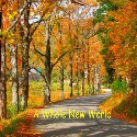 A Whole New World : 