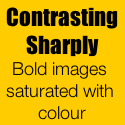 Contrasting Sharply : Bold images saturated with colour