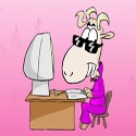 Personal blog : Personal online diary