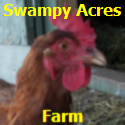 Swampy Acres Farm : 