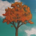 Pictsy Art : 