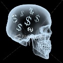 Earn Money Online : The Online Earner