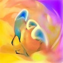 Butterfly in the Plaster : art, picture, photo, writing, diary