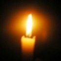 Shine the Light : 