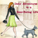 Daily Adventures in a Semi-Boring Life : 