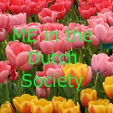Me in the Dutch Society : 