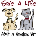 adopt pet : adopt pet