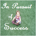 In Pursuit of Success : success, life, journey, opprotunity